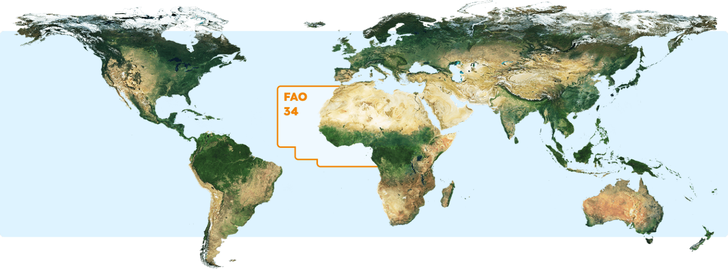 mappa zone di pesca FAO