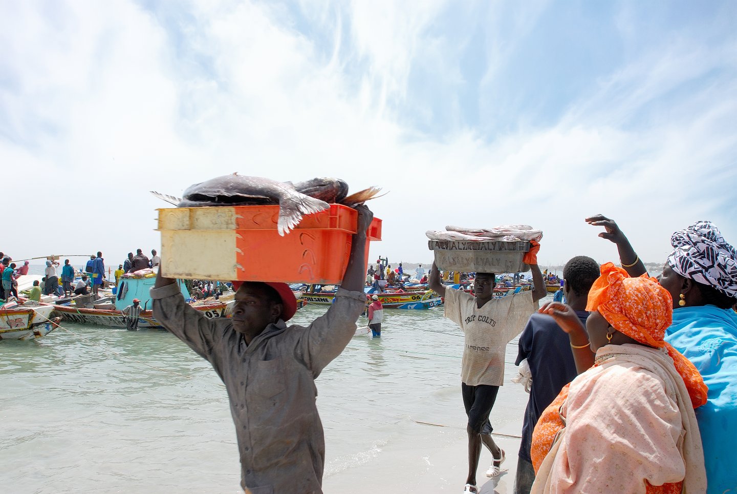 Un ponte diretto tra Africa e mercato italiano